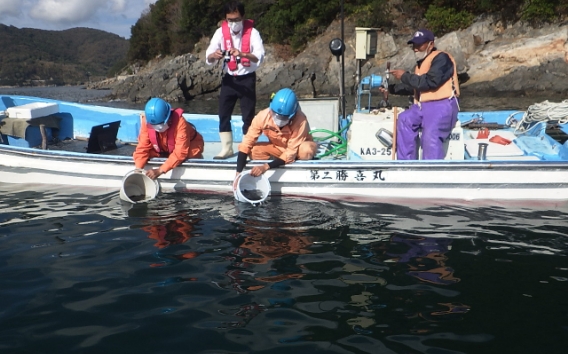 稚魚放流